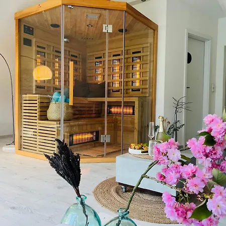 Moderner Altbau Mit Infrarotsauna Im Gruenen *