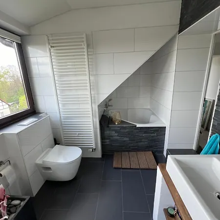 Moderner Altbau Mit Infrarotsauna Im Gruenen